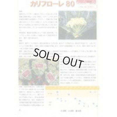 画像2: [イタリア野菜] カリフローレ80 Lコート1000粒 トキタ種苗(株)