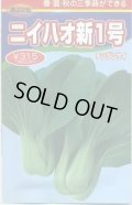 送料無料　[中国野菜]　チンゲンサイ　ニイハオ新1号　750粒　渡辺農事