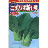 [中国野菜]　チンゲンサイ　　ニイハオ新１号　　750粒　渡辺農事
