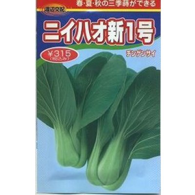 画像1: [中国野菜]　チンゲンサイ　　ニイハオ新１号　　750粒　渡辺農事