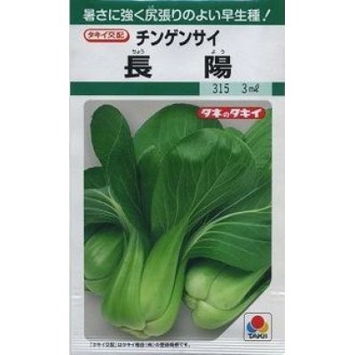 画像1: [中国野菜]　チンゲンサイ　長陽　20ml　タキイ種苗（株）
