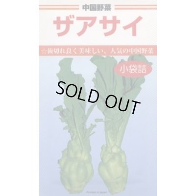 画像1: [中国野菜]　ザアサイ　5ml  　カネコ種苗株式会社