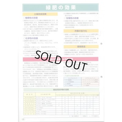 画像5: [緑肥]　ヘアリーベッチ　まめっこ　1kg　カネコ種苗(株)