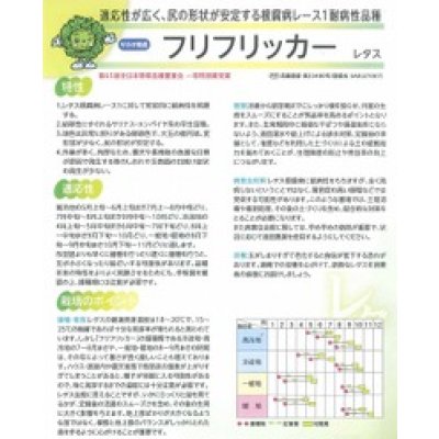 画像3: [レタス]　フリフリッカー　ペレット5000粒　（株）サカタのタネ