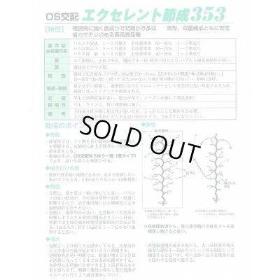 画像3: 送料無料　[キュウリ]　エクセレント節成353　350粒　ＯＳ交配