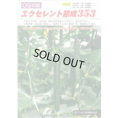 画像2: 送料無料　[キュウリ]　エクセレント節成353　350粒　ＯＳ交配
