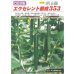 画像2: 送料無料　[キュウリ]　エクセレント節成353　350粒　ＯＳ交配 (2)