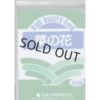 [景観形成作物]　菜の花　500g　カネコ種苗