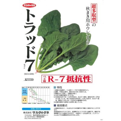 画像2: [ほうれんそう]　トラッド7(種子サイズ：M)　3万粒　サカタのタネ(株)