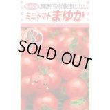 送料無料　[トマト/ミニトマト]　まゆか　16粒　松永種苗(株)