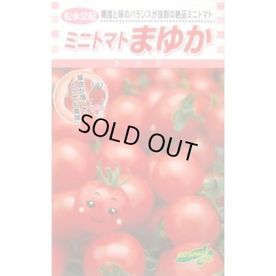 画像1: 送料無料　[トマト/ミニトマト]　まゆか　16粒　松永種苗(株)