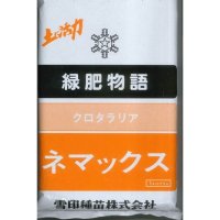 [緑肥]　クロタラリア　ネマックス　1kg 　雪印種苗（株）