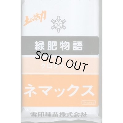 画像1: [緑肥]　クロタラリア　ネマックス　1kg　雪印種苗(株)