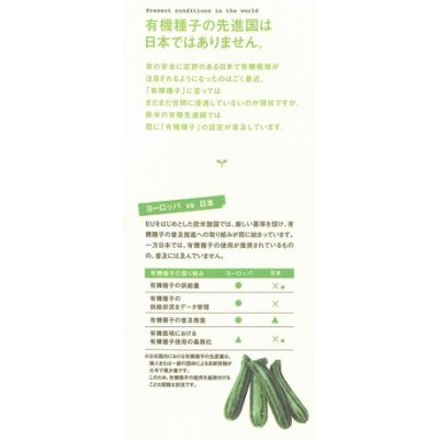 画像3: 有機種子　芽キャベツ　固定種　0.5ｇ(約100粒)　（株）グリーンフィールドプロジェクト