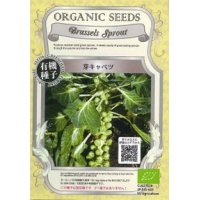 有機種子　芽キャベツ　固定種　0.5ｇ(約100粒)　（株）グリーンフィールドプロジェクト