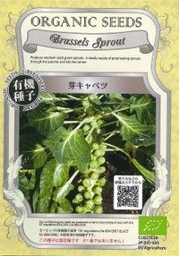 有機種子　芽キャベツ　固定種　0.5ｇ(約100粒)　（株）グリーンフィールドプロジェクト