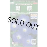送料無料　花の種　朝顔　西洋系　ヘブンリーブルー　約14粒　(株)サカタのタネ　実咲250（026201）