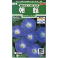 花の種　朝顔　西洋系　ヘブンリーブルー　約14粒　サカタのタネ（株）実咲250