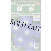 送料無料　花の種　朝顔　西洋系　ヘブンリーブルー　約14粒　(株)サカタのタネ　実咲250（026201）