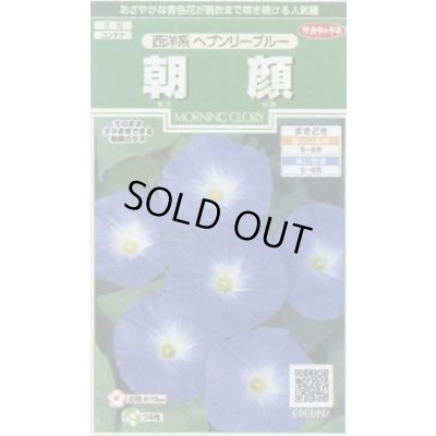 画像1: 送料無料　花の種　朝顔　西洋系　ヘブンリーブルー　約14粒　(株)サカタのタネ　実咲250（026201）
