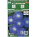 画像1: 花の種　朝顔　西洋系　ヘブンリーブルー　約14粒　サカタのタネ（株）実咲250 (1)