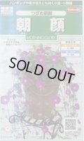 送料無料　花の種　朝顔　つばめ朝顔　約16粒　(株)サカタのタネ　実咲250（026199）