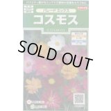 送料無料　花の種　コスモス　パレードミックス　小袋　(株)サカタのタネ　実咲250（026241）