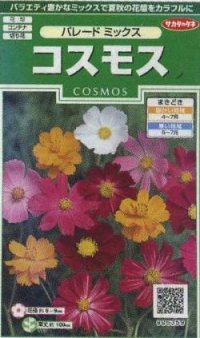 花の種　コスモス　パレードミックス　小袋　サカタのタネ（株）実咲250