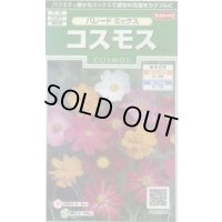 送料無料　花の種　コスモス　パレードミックス　小袋　(株)サカタのタネ　実咲250（026241）