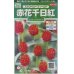 画像1: 花の種　赤花千日紅　ストロベリーフィールド　約20粒　サカタのタネ（株）実咲250 (1)