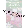 送料無料　花の種　コスモス　アーリーミックス　約86粒　(株)サカタのタネ　実咲250（026238）