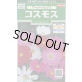 送料無料　花の種　コスモス　アーリーミックス　約86粒　(株)サカタのタネ　実咲250（026238）