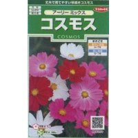 花の種　コスモス　アーリーミックス　約86粒　サカタのタネ（株）実咲250