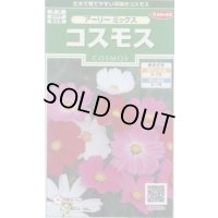 送料無料　花の種　コスモス　アーリーミックス　約86粒　(株)サカタのタネ　実咲250（026238）
