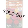 送料無料　花の種　けいとう　久留米けいとう　切り花用混合　約145粒　(株)サカタのタネ　実咲200（026324）