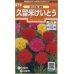 画像1: 花の種　 けいとう　久留米けいとう　約145粒　サカタのタネ（株）実咲200 (1)