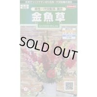 送料無料　花の種　金魚草　高性一代交配系混合　約86粒　(株)サカタのタネ　実咲250（026222）
