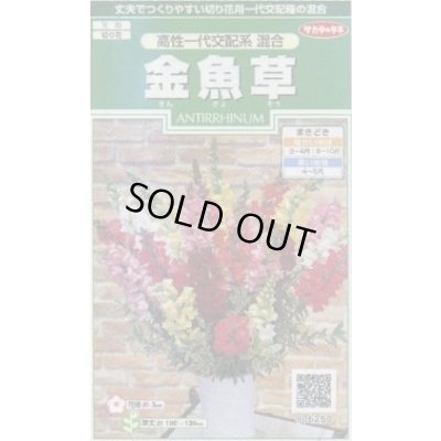 画像1: 花の種 金魚草 高性一代交配系混合 約86粒 (株)サカタのタネ 実咲250(026222)