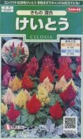 送料無料　花の種　けいとう　きもの混合　約143粒　(株)サカタのタネ　実咲250（026234）