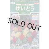 送料無料　花の種　けいとう　きもの混合　約143粒　(株)サカタのタネ　実咲250（026234）