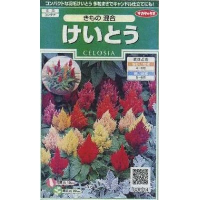 画像1: 花の種　けいとう　きもの混合　約143粒　サカタのタネ（株）実咲250