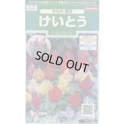 画像1: 送料無料　花の種　けいとう　きもの混合　約143粒　(株)サカタのタネ　実咲250（026234）