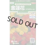 送料無料　花の種　金蓮花　ホワリーバード　約15粒　(株)サカタのタネ　実咲250（026228）