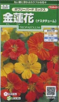 花の種　金蓮花　ホワリーバード　約15粒　サカタのタネ（株）実咲250