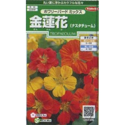 画像1: 花の種　金蓮花　ホワリーバード　約15粒　サカタのタネ（株）実咲250