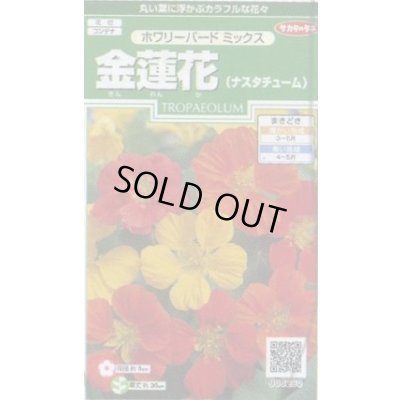 画像1: 送料無料　花の種　金蓮花　ホワリーバード　約15粒　(株)サカタのタネ　実咲250（026228）