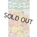 送料無料　花の種　マリーゴールド　一重咲き混合　約50粒　(株)サカタのタネ　実咲250（026295）