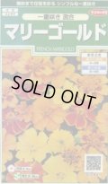 送料無料　花の種　マリーゴールド　一重咲き混合　約50粒　(株)サカタのタネ　実咲250（026295）