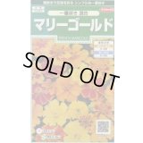 送料無料　花の種　マリーゴールド　一重咲き混合　約50粒　(株)サカタのタネ　実咲250（026295）