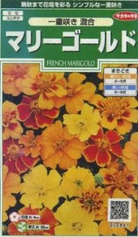 花の種　マリーゴールド　一重咲き混合　約50粒　サカタのタネ（株）実咲250